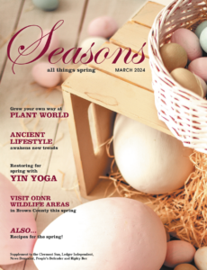 Seasons: All Things Spring