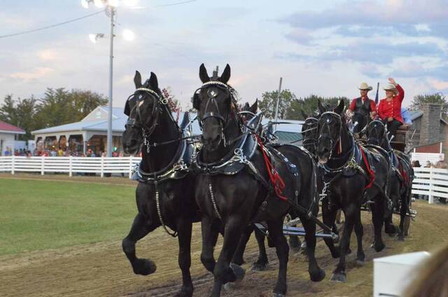 130918175_web1_whispery-pines-percherons
Back for this years Brown County Fair is the famous team of Whispery Pines Percheron Horses. Photo by Wade Linville
